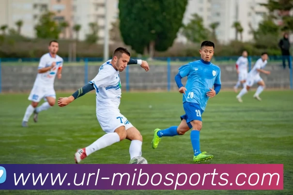 米博体育全站App